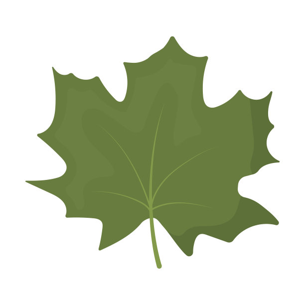 枫叶矢量图标在卡通风格的网站图片下载