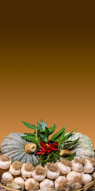 大蒜和其他典型的秋季蔬菜放在一个篮子里。Copyspace图片下载