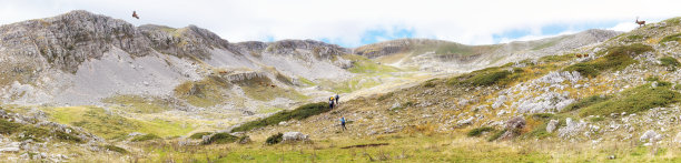 一个山谷概述与徒步旅行者和动物图片下载
