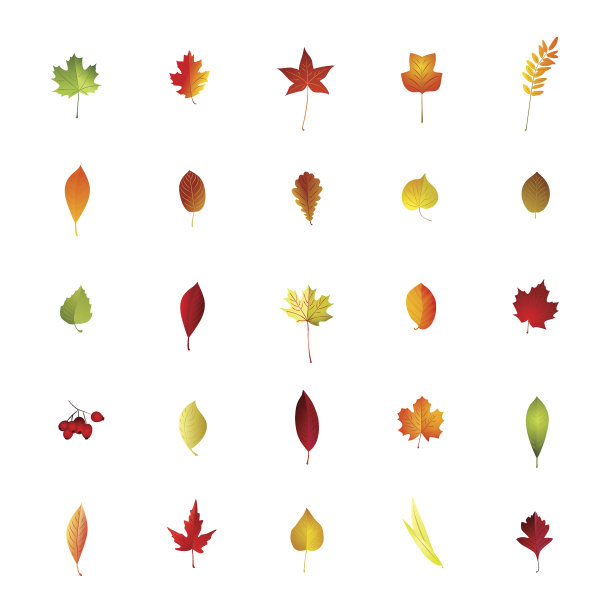 白色背景上的秋叶。图片下载
