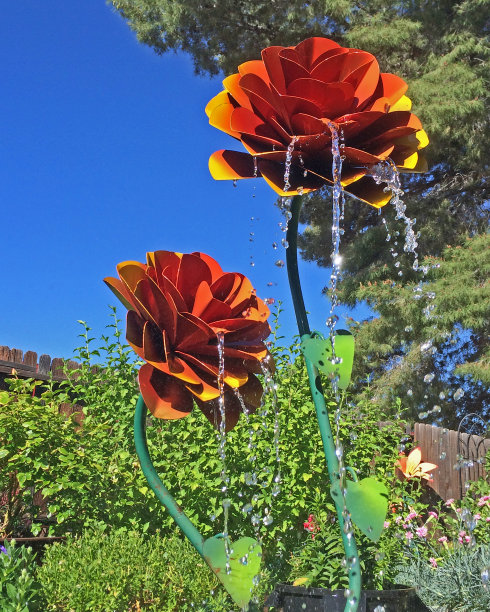 花和水图片下载