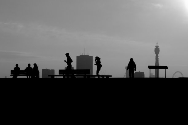 樱草花轮廓图片下载