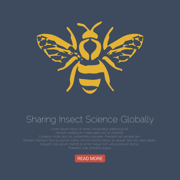 蜜蜂图标。矢量插图。图片下载