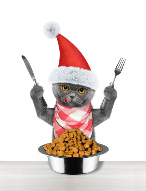 圣诞节装扮图片素材ID：136003294