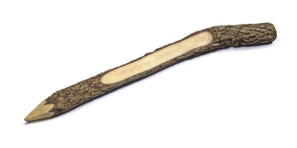 树枝的铅笔图片下载