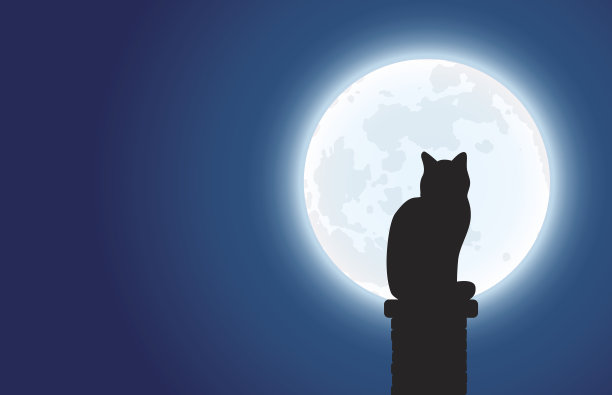 发呆的猫图片下载