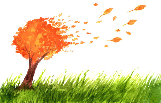 橙色的秋天树和草在水彩画图片下载