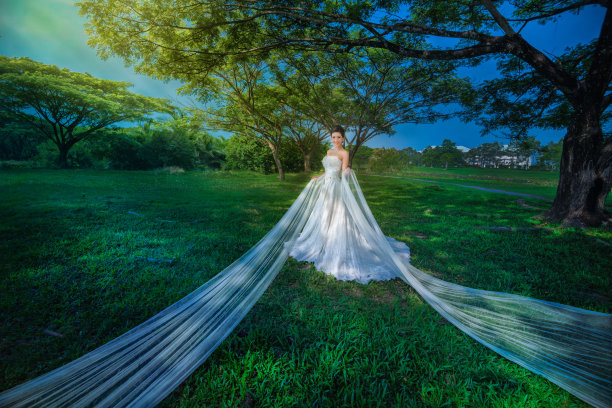 白色婚纱时尚图片下载