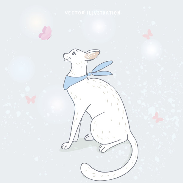 可爱的白猫和蝴蝶图片下载