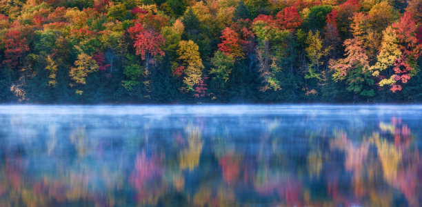 完美的秋天的早晨图片下载