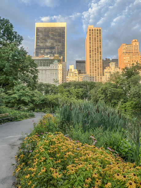 纽约中央公园图片下载