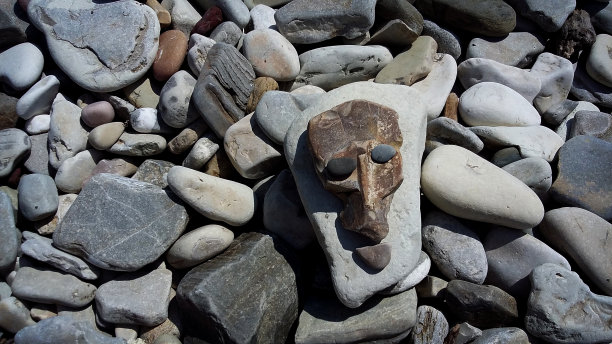 卵石背景上用石头做成的生物肖像图片下载