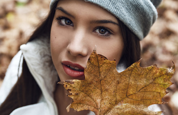 秋叶之美图片下载