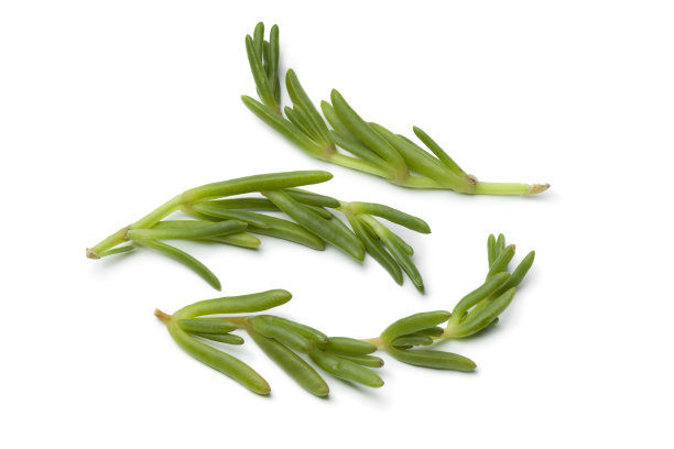 新鲜的卡尔卡拉图片下载