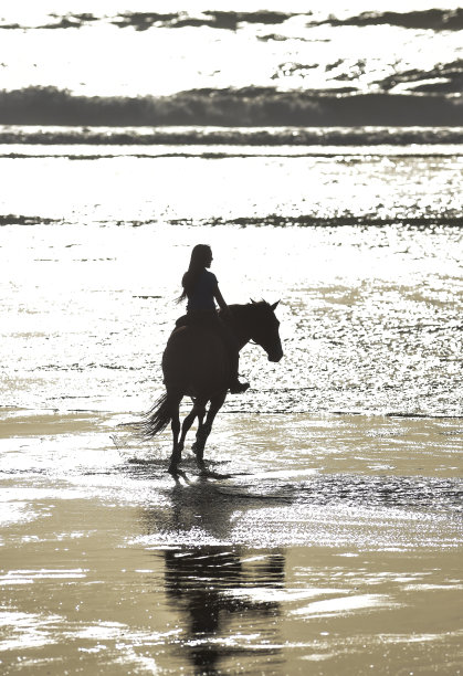 日落时在海滩上骑马图片下载