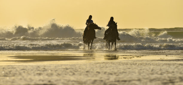 日落时在海滩上骑马图片下载