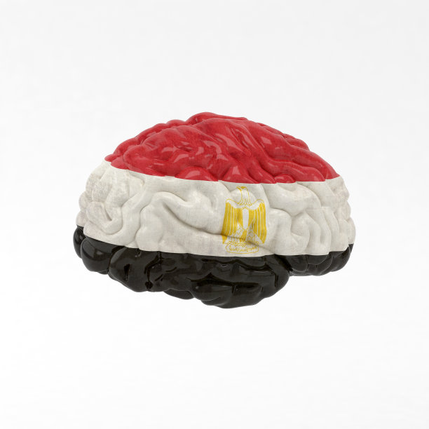 埃及。人类大脑上的旗帜。图片下载