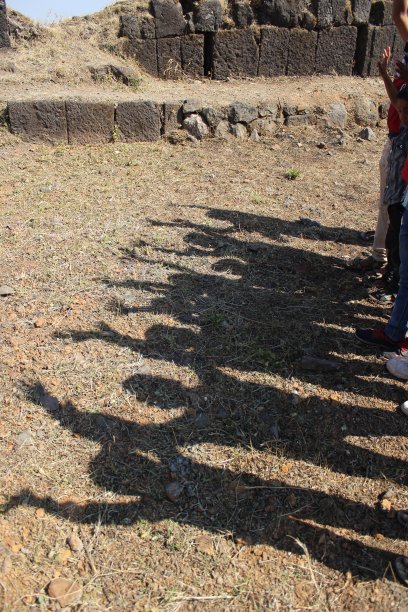 影子的享受图片下载