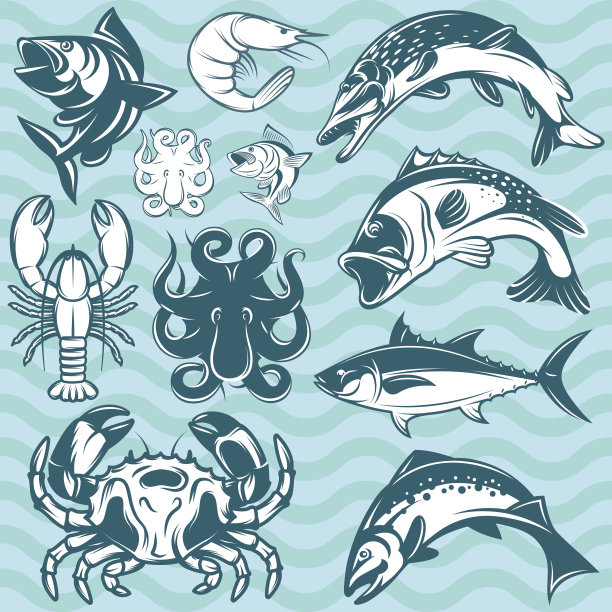 一套淡水和海生鱼类和贝类图片下载