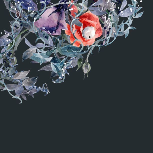 画的是水彩花叶糊的头盖骨。图片下载