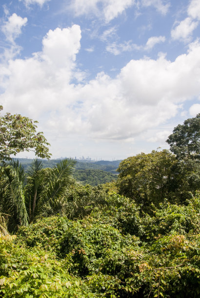 巴拿马城视图图片下载