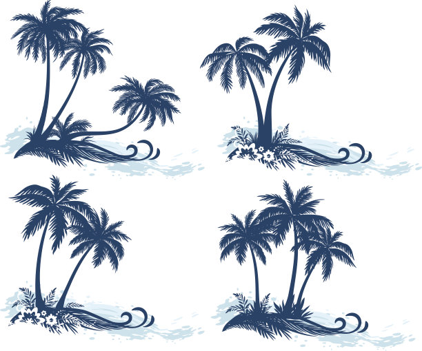 风景，棕榈树剪影图片下载