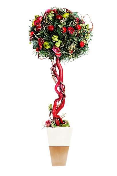 以苹果、气球、玫瑰和松针为素材的抽象作品图片下载