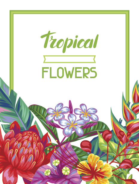 泰国鲜花邀请卡。热带多色植物，叶和图片下载