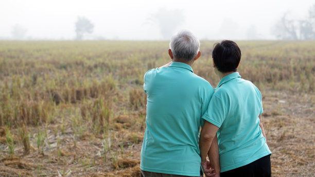 亮绿色背景上的亚洲年长夫妇肖像图片下载