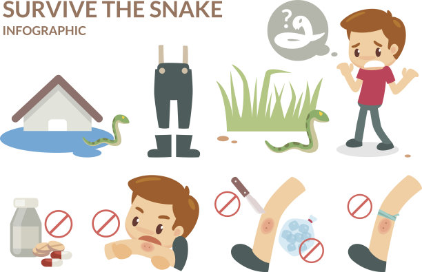 如何在蛇的威胁下生存。图片下载