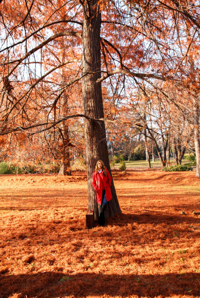 美丽的年轻女子提着手提箱在秋天的公园里图片下载