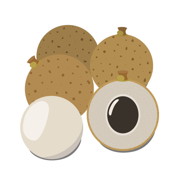 龙眼异国情调的水果。热带维生素甜点。平的风格。有机营养图片下载