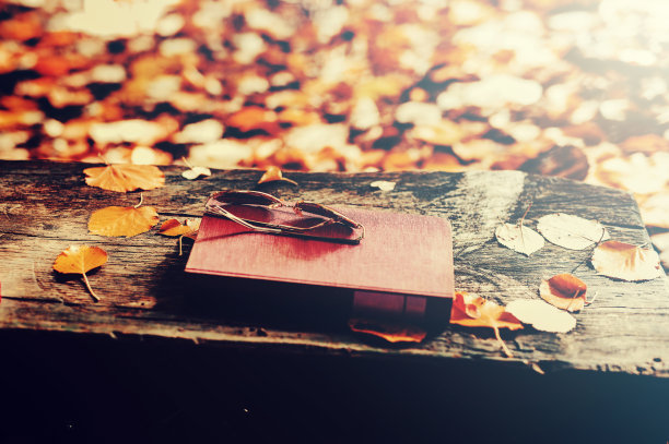 书和眼镜在秋季公园的长椅上图片下载