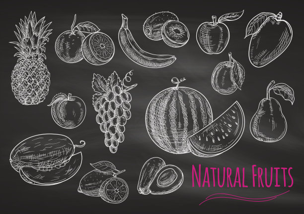 水果粉笔素描图标在黑板上素材图片