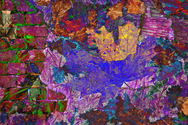 色彩斑斓的迷幻的背景。砖墙和枫叶双重曝光图片下载