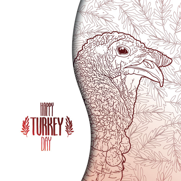 火鸡的平面设计图片下载