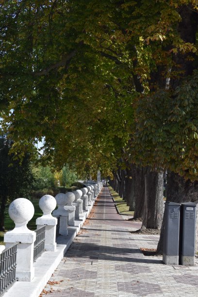 在秋天里散步。图片下载