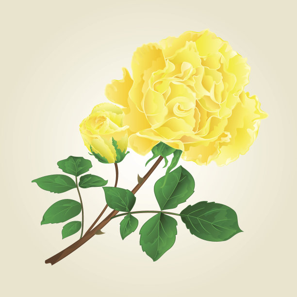 黄玫瑰和玫瑰花蕾复古向量图片下载