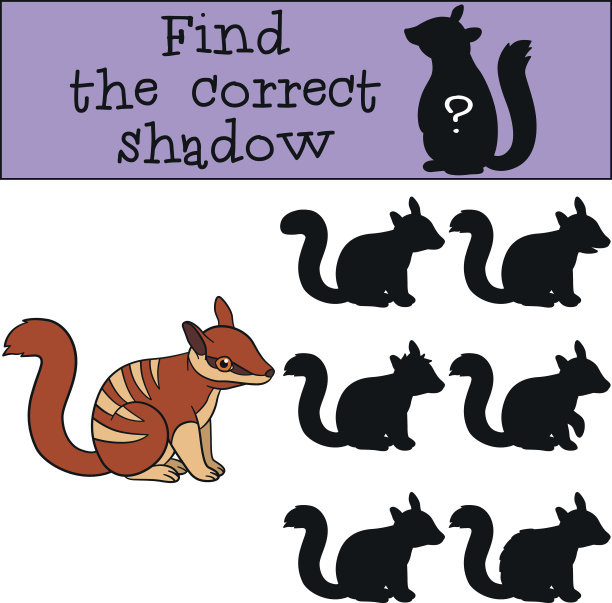 教育游戏:找到正确的影子。小可爱宝宝麻木图片下载