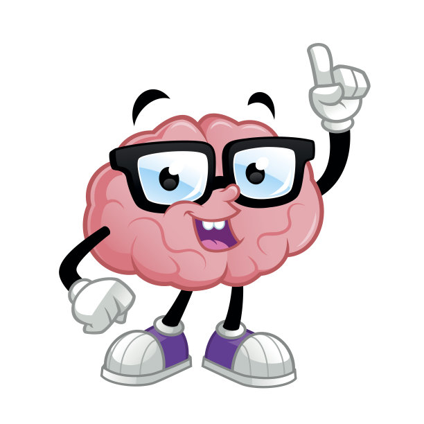 大脑图片下载