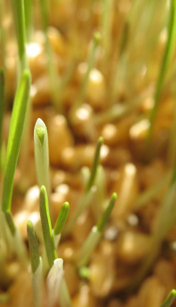 新生活图片下载