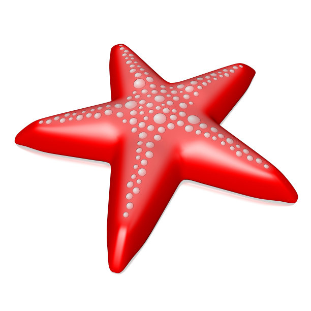 3 d海星概念图片下载