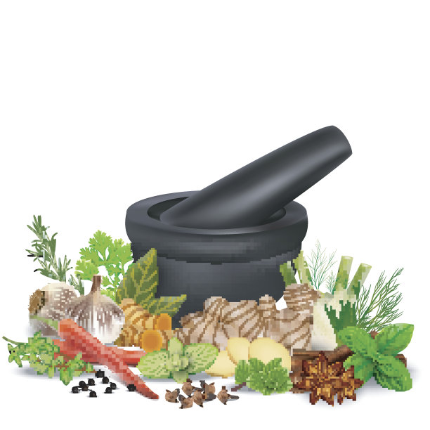 香料和香草与臼和杵孤立白色背景图片下载