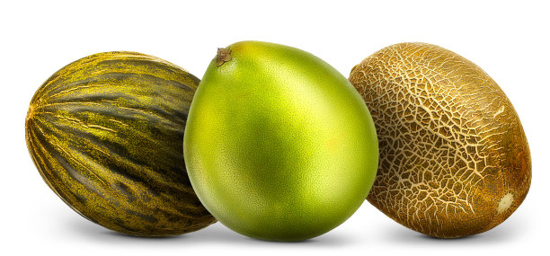 在白色背景上孤立的一组西瓜和柚子图片下载