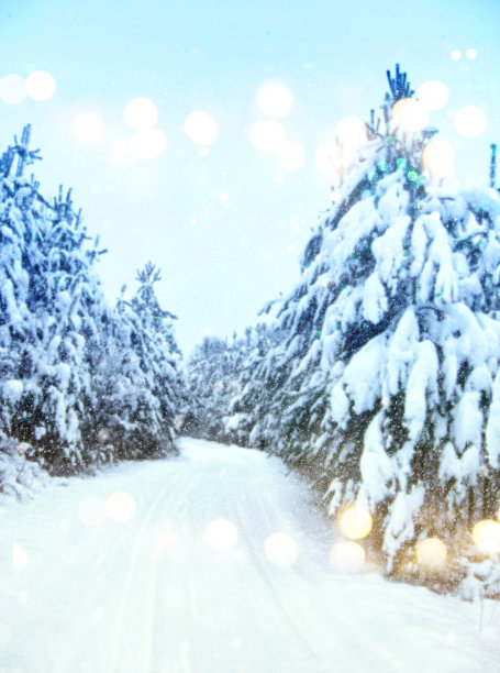 梦幻和抽象的神奇冬季风景照片图片下载