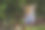 捷豹(美洲虎)素材图片