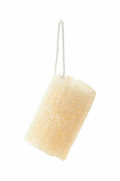 丝瓜天然海绵图片下载