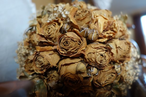 干玫瑰花束特写图片下载