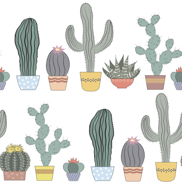 仙人掌无缝纹理。多肉植物，家花，盆栽室内植物图片下载