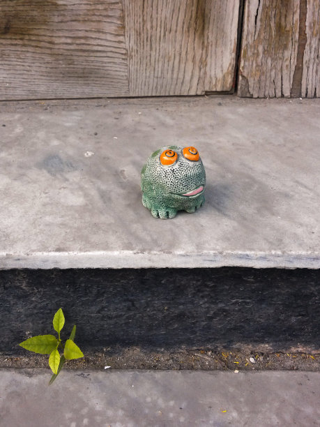 玩具青蛙坐在乡间的门廊上。图片下载